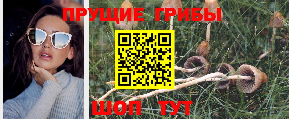 Галлюциногенные грибы Magic Shrooms Юрга